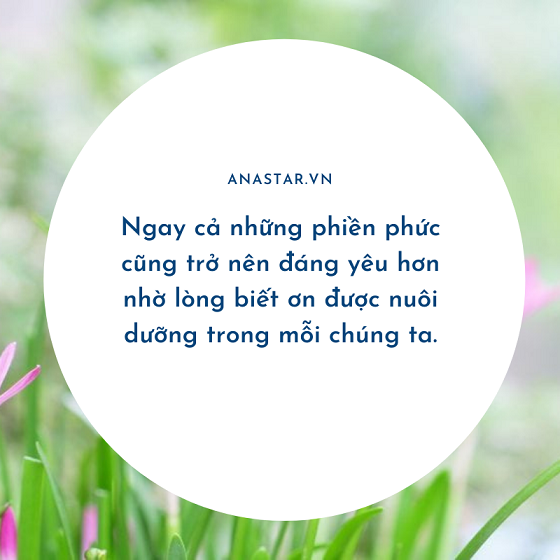 Hãy biết ơn những phiền phức quanh bạn, bởi chúng đều tiết lộ một bí mật đáng yêu