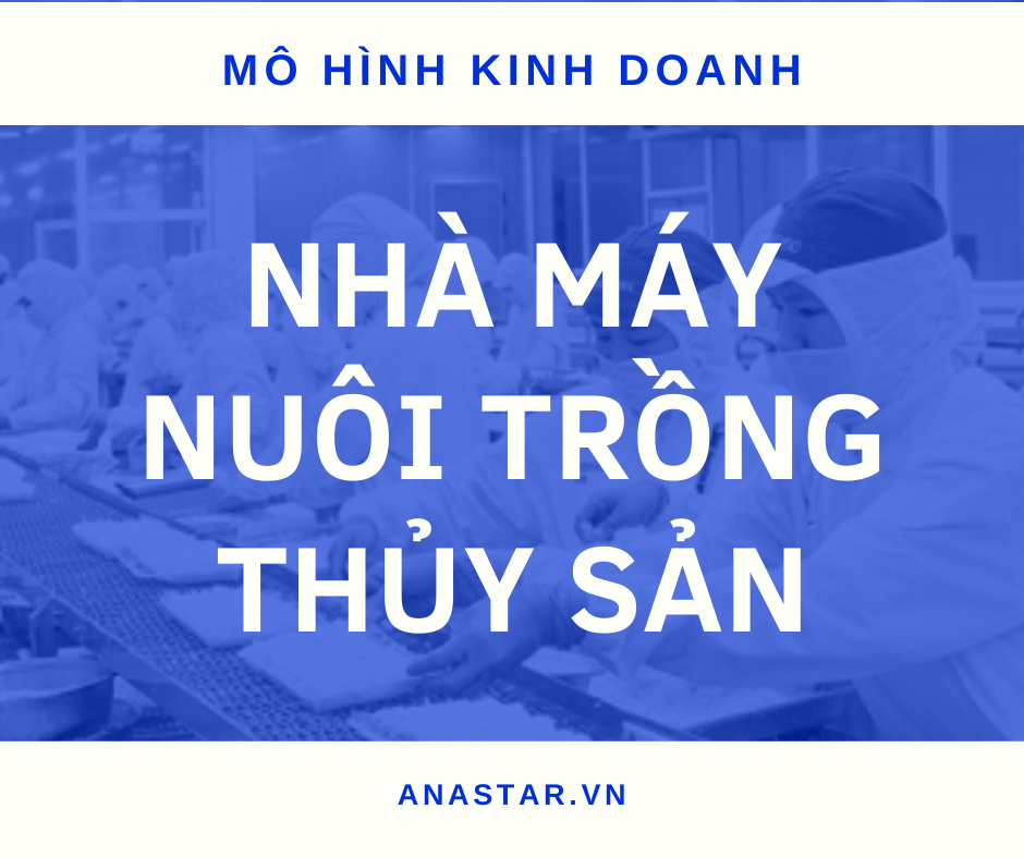 YT 13: MHKD NHÀ MÁY NUÔI TRỒNG THỦY SẢN