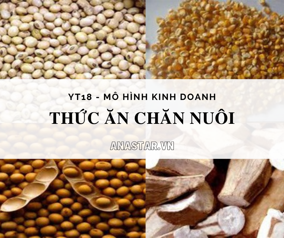 YT 18: MHKD THỨC ĂN CHĂN NUÔI