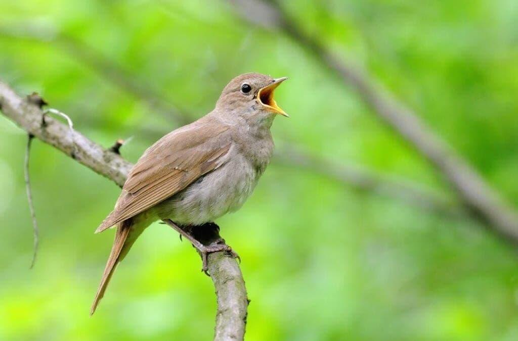 Qui luật hiện tại - Trích cuốn sách Làm chủ số phận