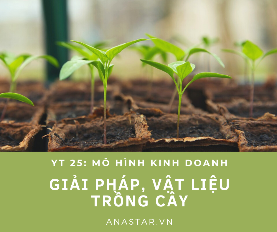 YT 25: MHKD GIẢI PHÁP, VẬT LIỆU TRỒNG CÂY