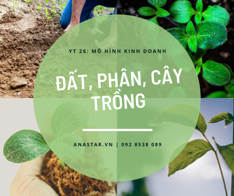 YT 26: MHKD ĐẤT, PHÂN, CÂY TRỒNG