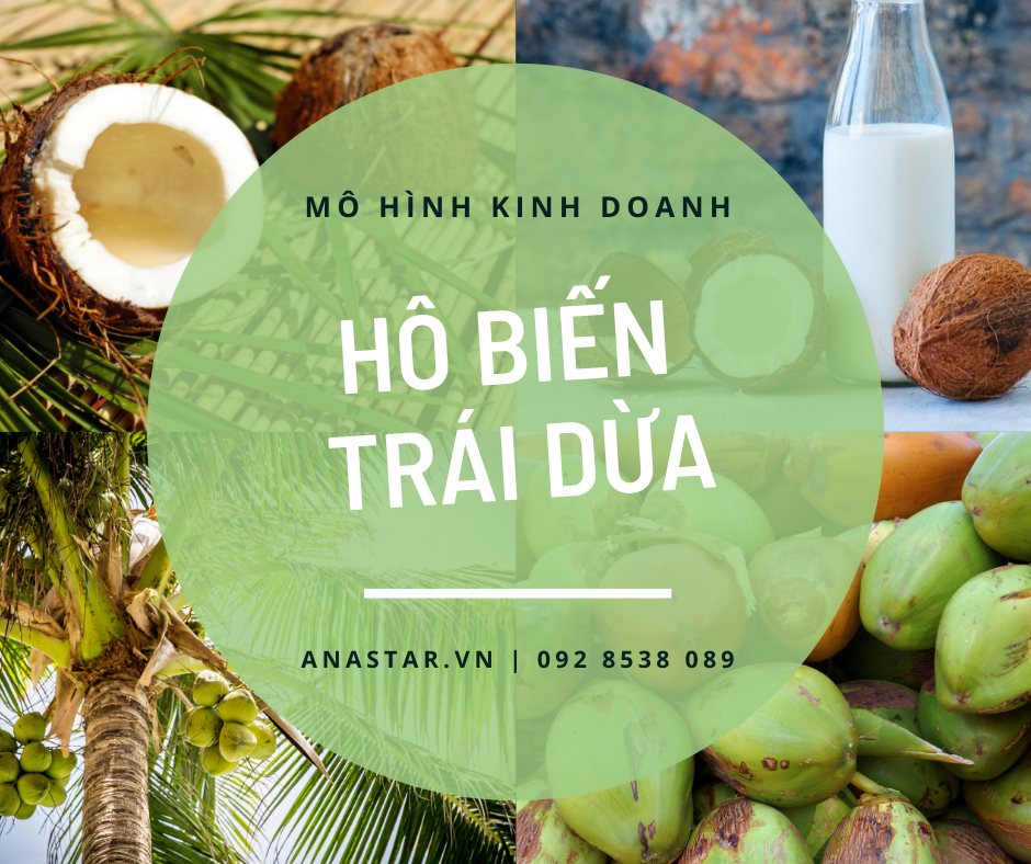 YT 30: MHKD HÔ BIẾN TRÁI DỪA