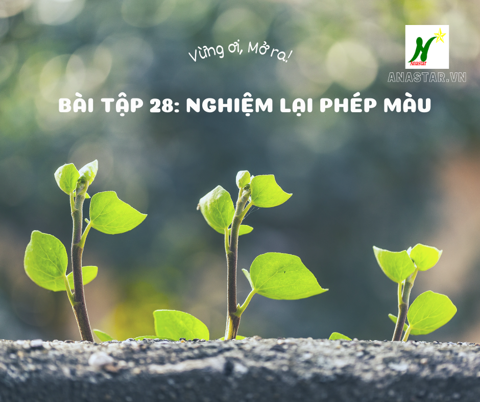 Tập 29 – Bài tập 28: Nghiệm lại phép màu – Vừng ơi mở ra!