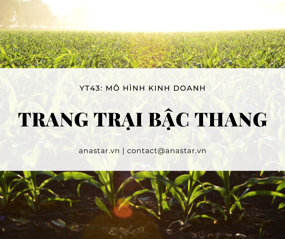 YT 43: MHKD TRANG TRẠI BẬC THANG