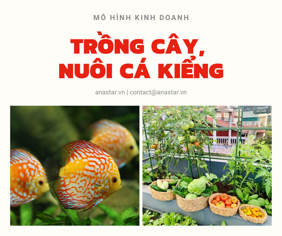 YT 44: MHKD TRỒNG CÂY, NUÔI CÁ KIỂNG