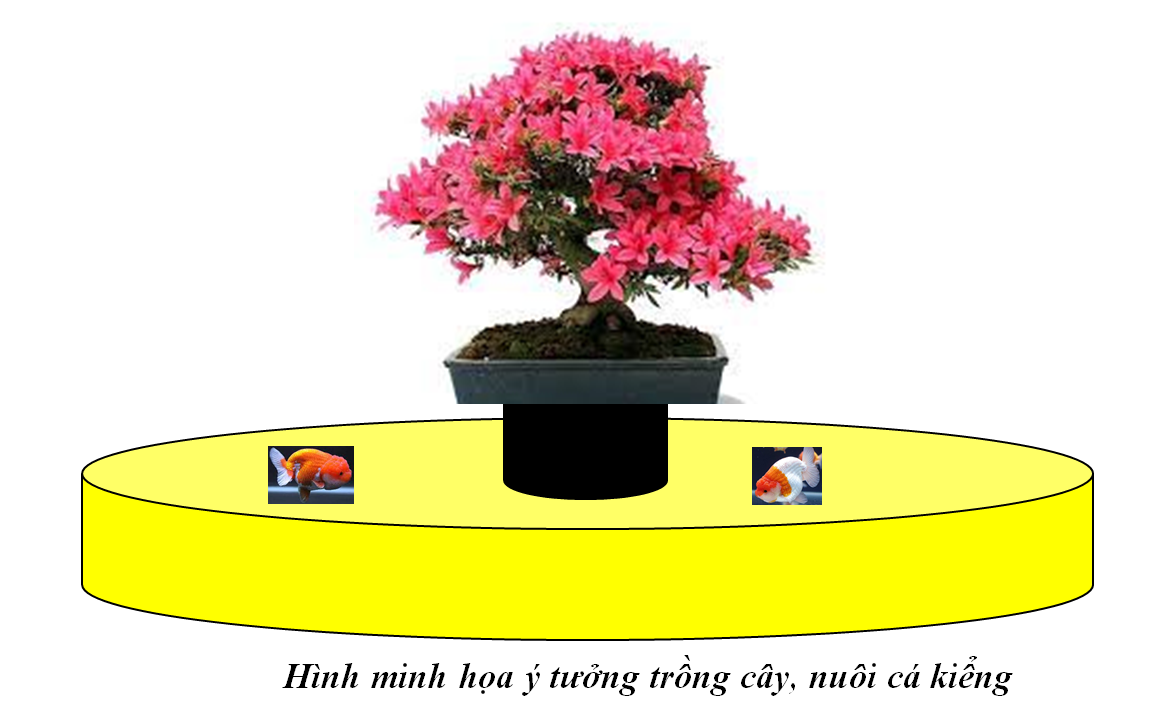 MHKD Trồng cây - Nuôi cá cảnh